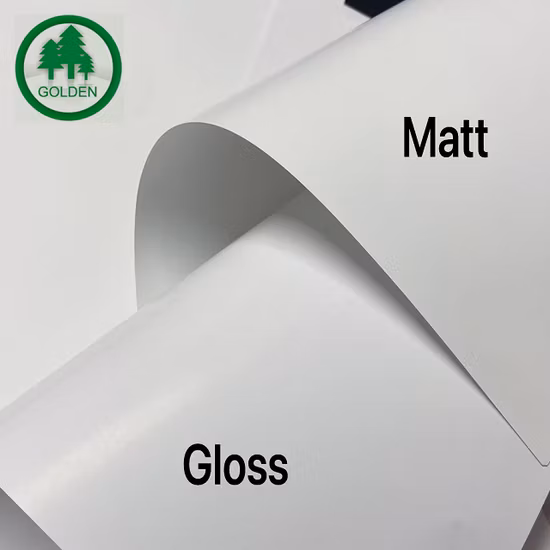 Fornitura di fabbrica Carta personalizzata C1s Gc1 Fbb in fogli di carta patinata lucida 230/250/300/350 GSM dal fornitore cinese