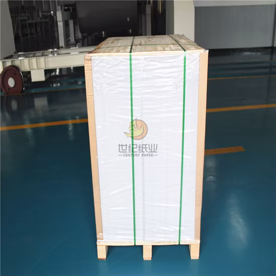 Fabbrica di carta patinata lucida adesiva C1s 70X50mm